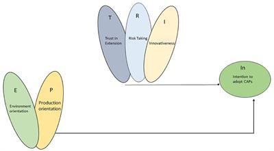 A Fuzzy-Set Analysis of Conservative Agriculture Practice Adoption: Role of Farmer Orientations and Attitude